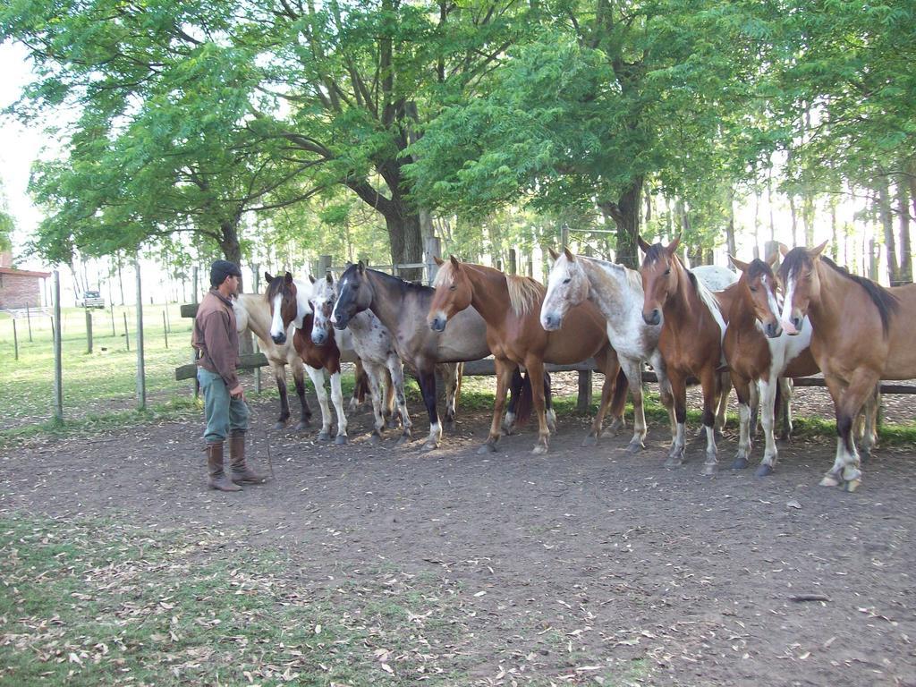 Estancia Turistica La Amorosa Тринидад Стая снимка
